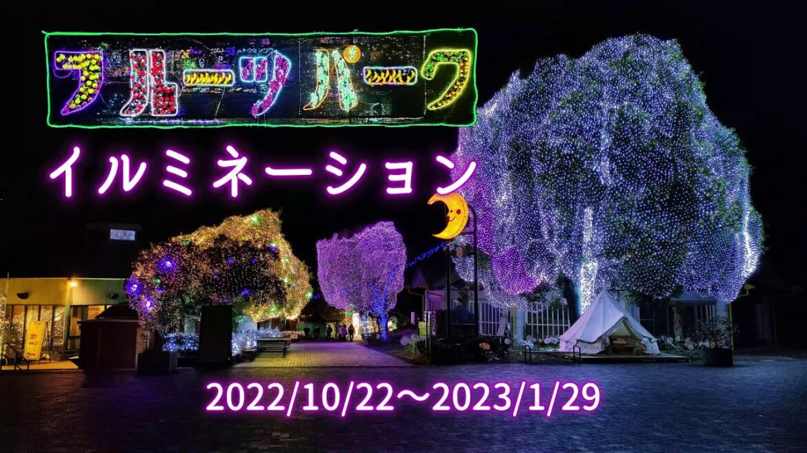 はままつフルーツパーク時之栖イルミネーション｜HTC ドライブ観光スポット