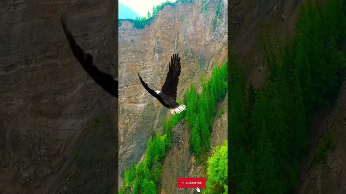 Relaxing with nature views🎧use headphones 🌏#youtubeshorts #youtube #ytshorts Relaxing with nature views🎧use headphones 🌏#youtubeshorts #youtube #ytshorts