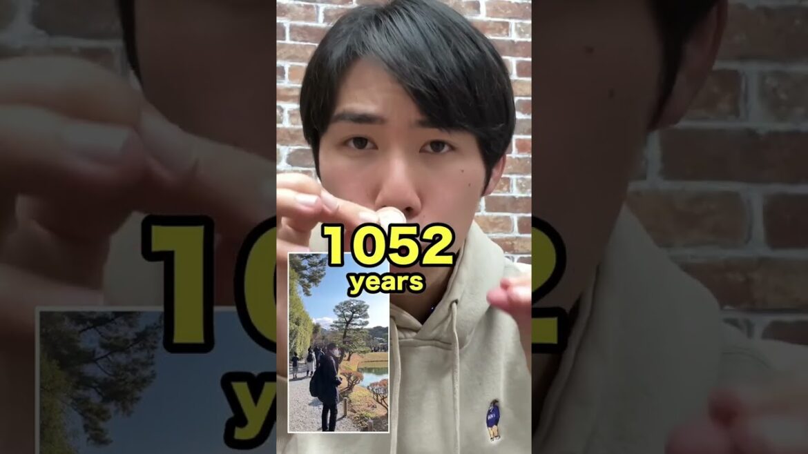 Random things in Japan #shorts