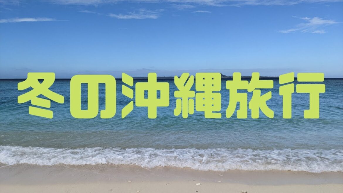 【番外編】冬の沖縄グルメ旅行