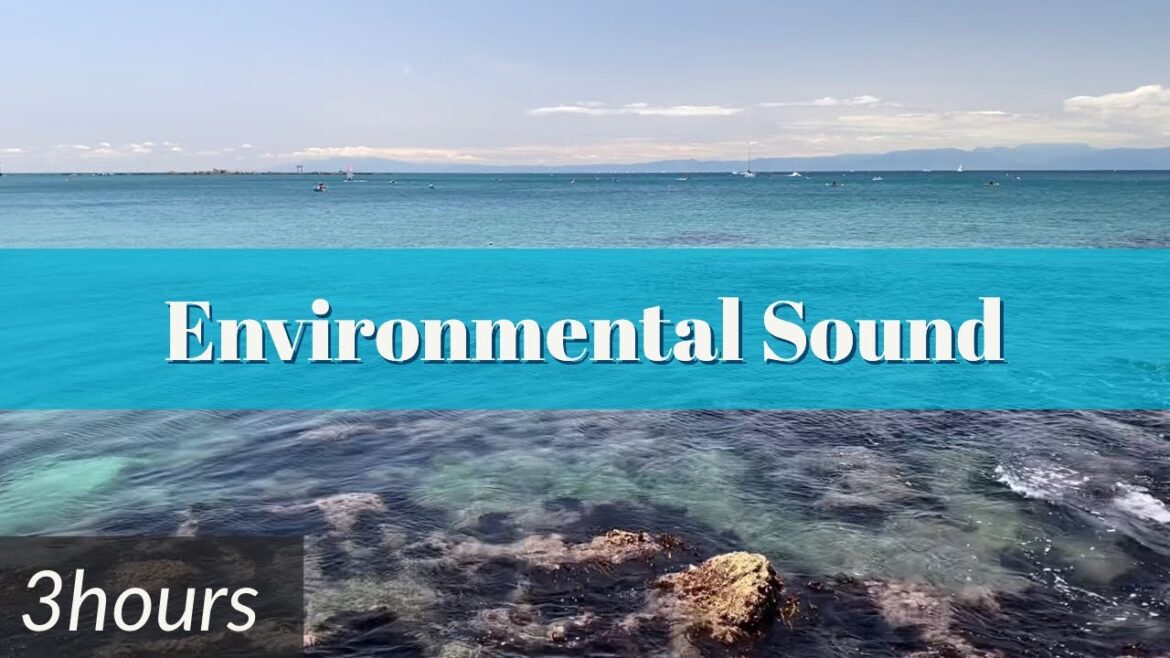 【環境音】「波の音」3時間BGM【Sea wave Sounds in Japan】 【環境音】「波の音」3時間BGM【Sea wave Sounds in Japan】
