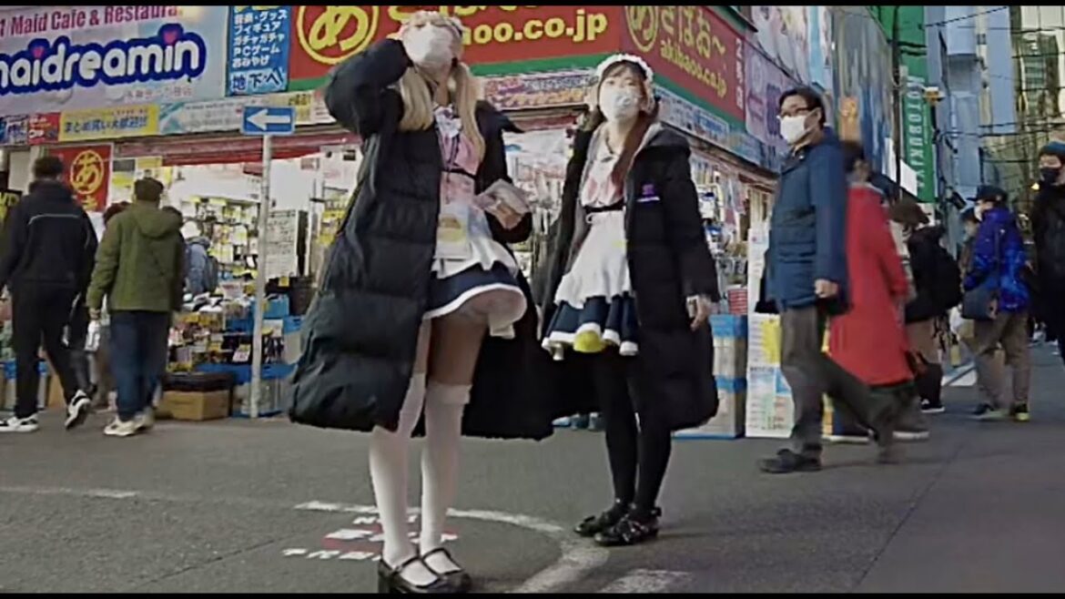 Tokyo, Akihabara, evening walk.