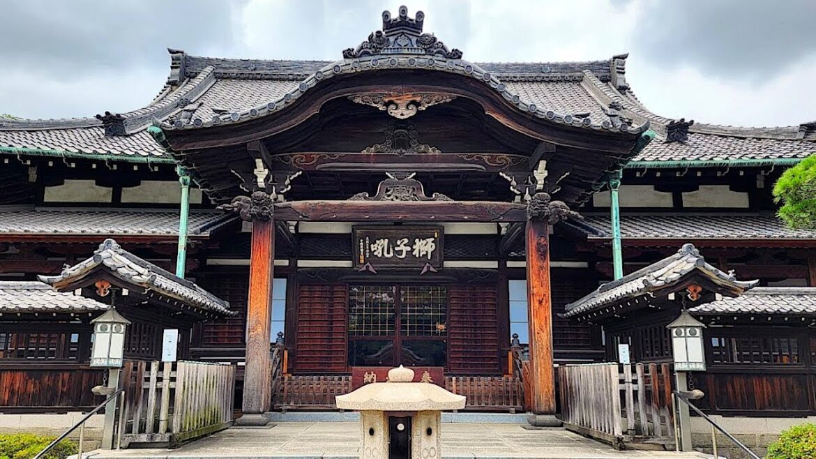 Let's Get Lost: Shinagawa Station to Tokyo Station! | JAPAN LIVE STREAMS 2023