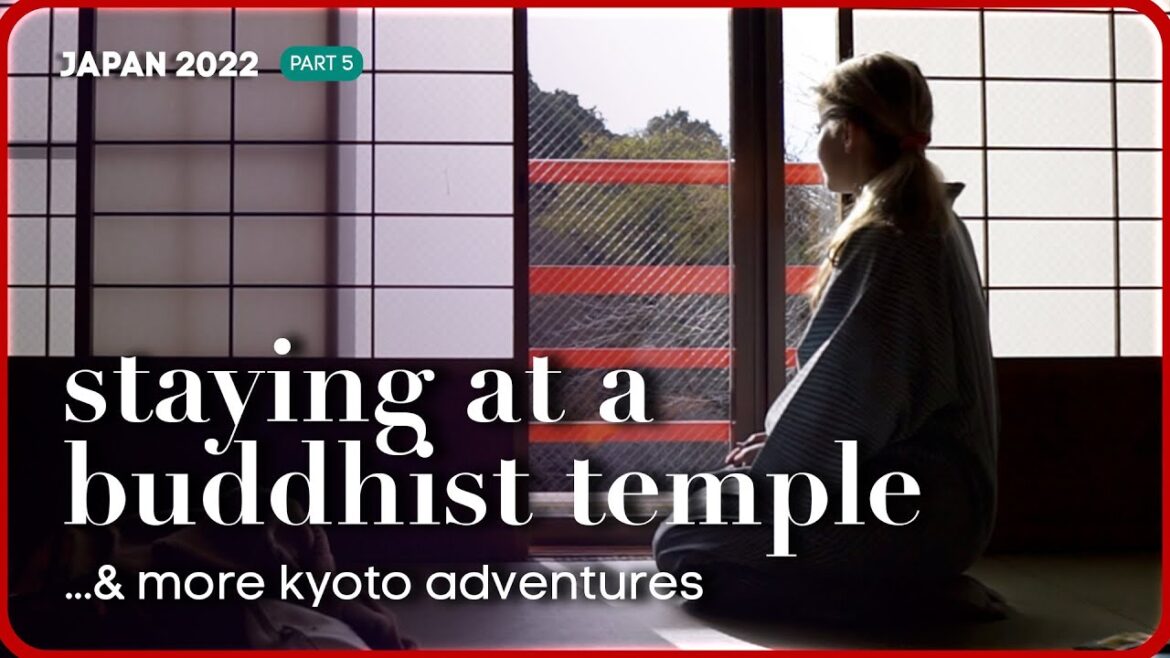 Staying overnight at a Buddhist Temple | I'm back in Japan! Part 5 + Kyoto adventures
