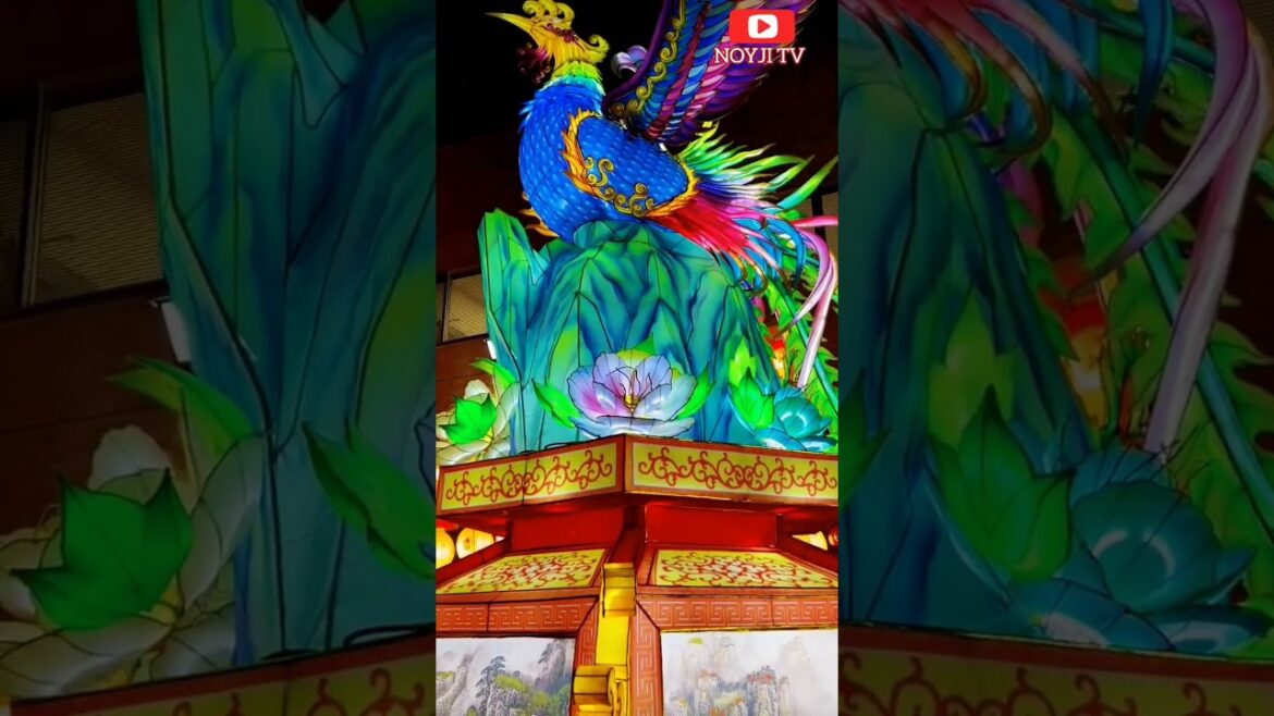 CHINESE NEW YEAR | YOKOHAMA CHINATOWN | SHORTS @NOYJITV CHINESE NEW YEAR | YOKOHAMA CHINATOWN | SHORTS @NOYJITV