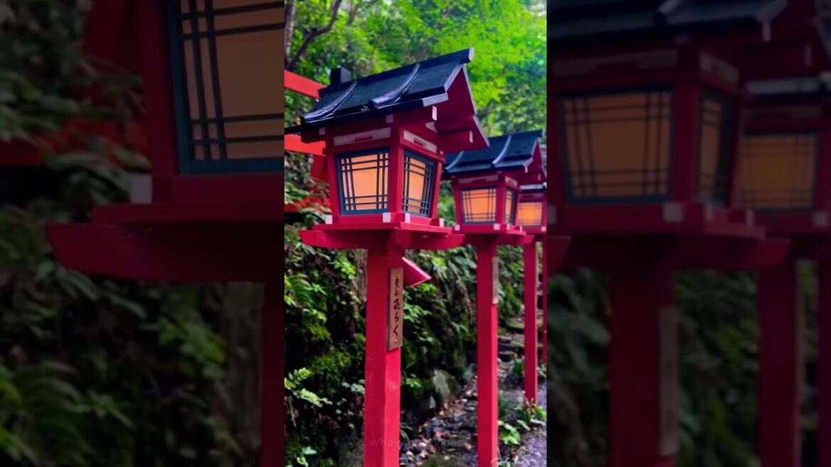 Japan traditionally wedding👰😍 Japan traditionally wedding👰😍