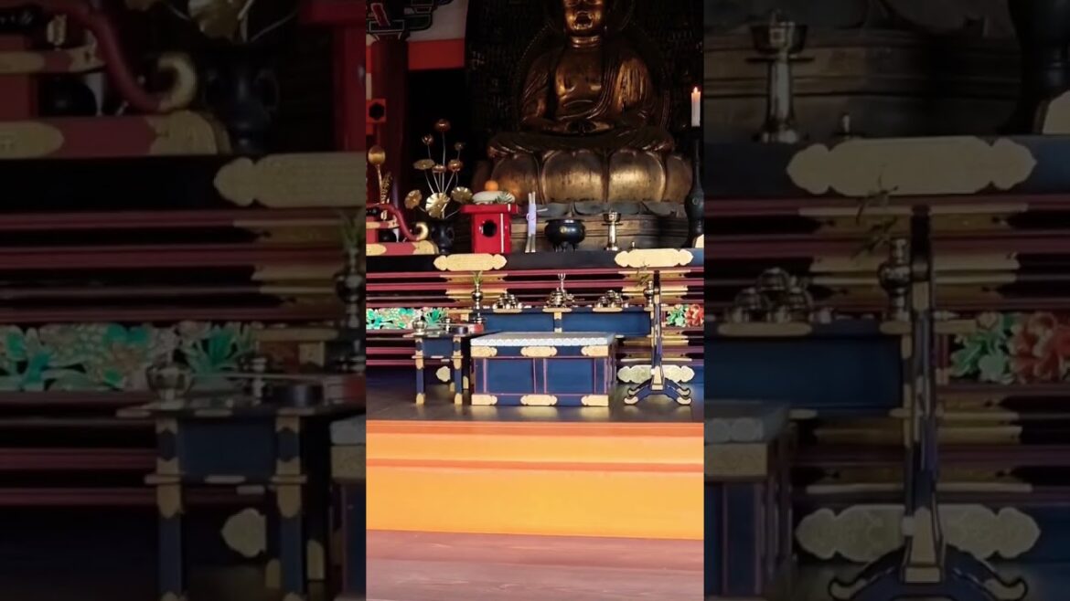 A Honeymoon Trip to Kiyomizu-dera #shorts #japan #kyoto A Honeymoon Trip to Kiyomizu-dera #shorts #japan #kyoto