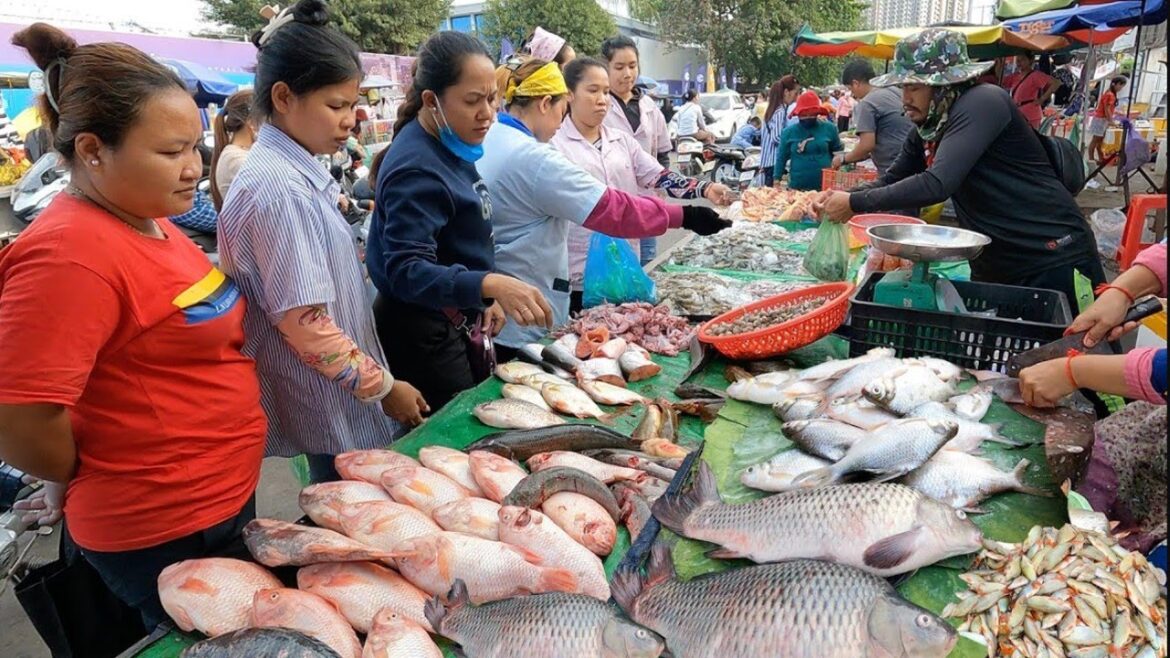 Busy tour shopping of Cambodia street food in Market , Gig Fish, Chicken, and Vegetable live show