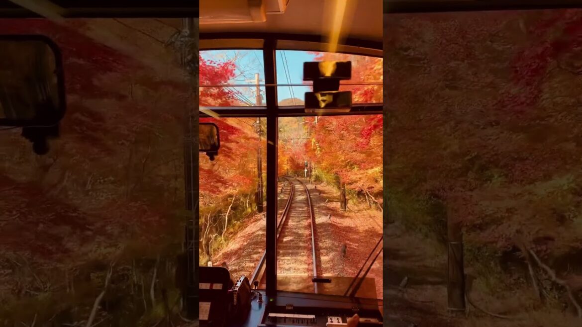 Fall Foliage Okayama Train Instagram: miyuko0529