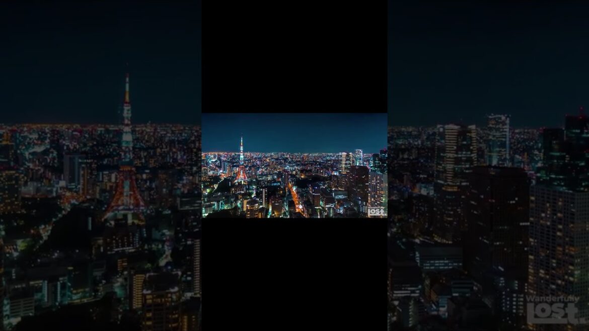 Japan Travel Guide 2023 | Japan Travel Tips | Japan VLOG #shorts