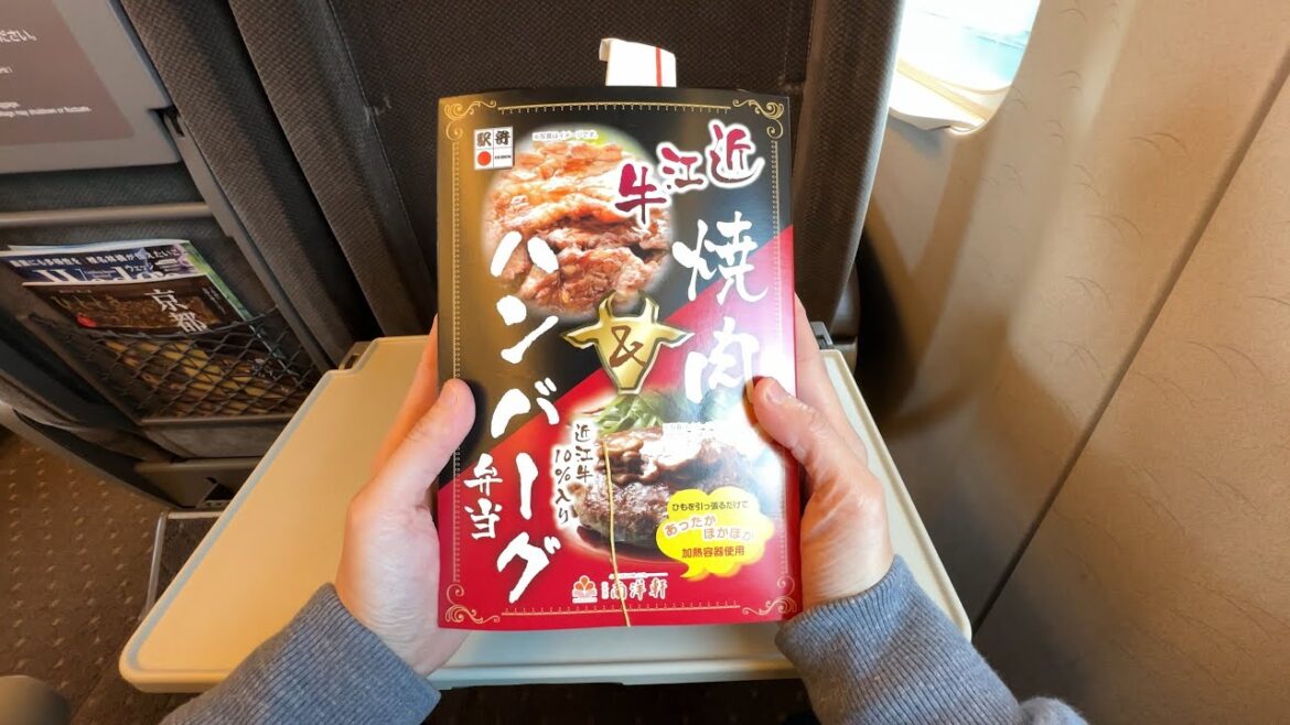 Japanese Self Heating Train Bento