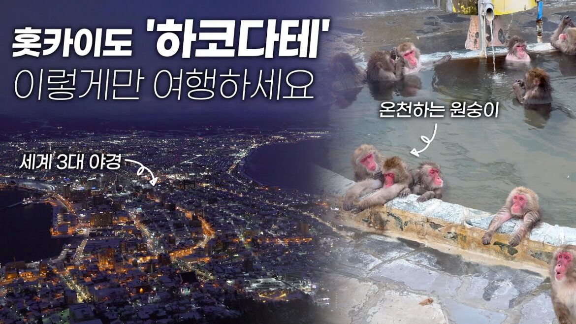 홋카이도 하코다테 여행 가이드 | 가볼만한 곳, 맛집, 일정, 교통정보 총정리 feat. 구글맵지도 홋카이도 하코다테 여행 가이드 | 가볼만한 곳, 맛집, 일정, 교통정보 총정리 feat. 구글맵지도