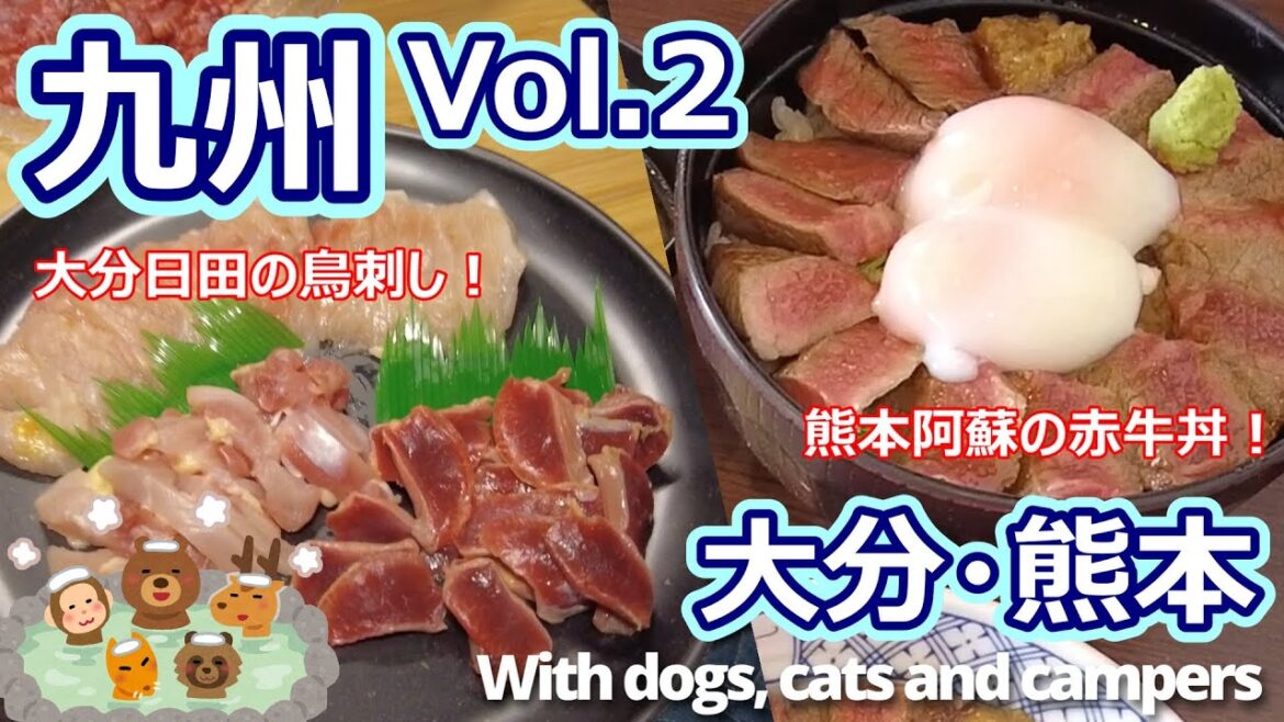 【犬と猫とキャンピングカーと年末九州の旅！ Vol.2】大分日田の鳥刺し！熊本阿蘇の赤牛丼！大分から熊本へ！24時間入浴OKの立ち寄り家族風呂と地獄蒸しの旅！