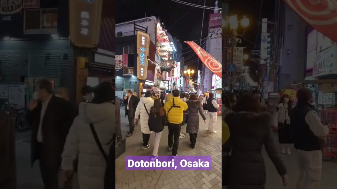 Dotonbori Osaka at Night