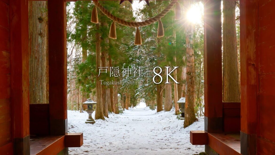 【長野最強のパワースポット】戸隠神社の雪景色 – Japan in 8K 【長野最強のパワースポット】戸隠神社の雪景色 - Japan in 8K