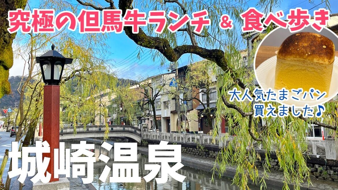 [ 兵庫県 城崎温泉1泊2日の旅 ]　#2 城崎温泉ぶらり食べ歩き　～ 但馬牛コロッケ・ステーキ串 / プリン / 行列が出来る本巣ヱの『たまごパン』 / 但馬牛最高峰『但馬玄』のランチなど ～