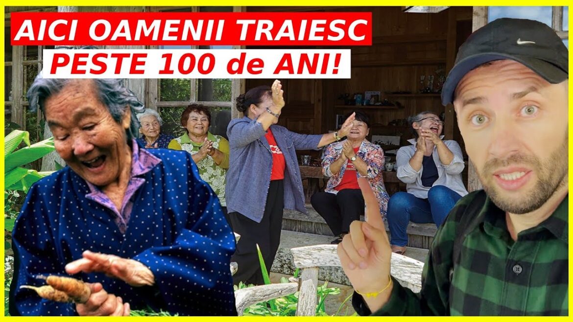 Cum TRAIESTI 100 de ANI? – SECRETELE oamenilor ce REFUZA SA MOARA! (Okinawa) Cum TRAIESTI 100 de ANI? - SECRETELE oamenilor ce REFUZA SA MOARA! (Okinawa)