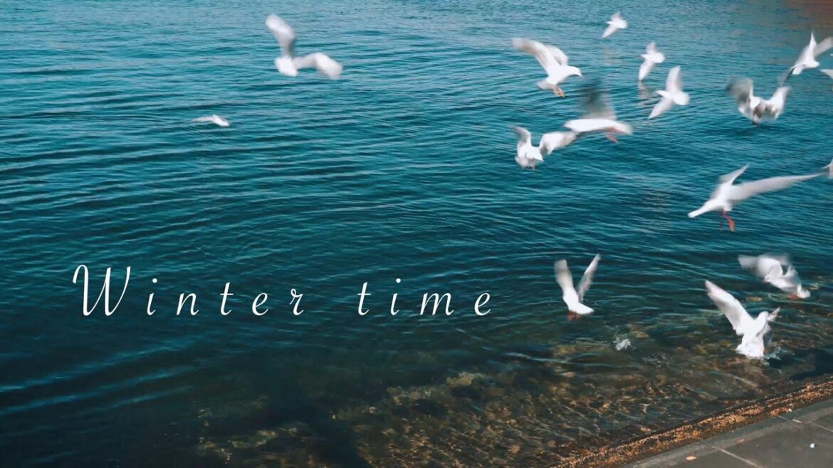 Winter time | Yokohama Travel Cinematic Vlog | Sony α6600