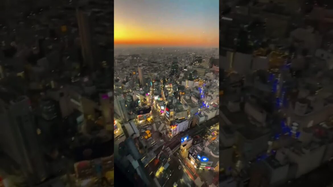 【日本生活】當夕陽落下地平線…分享一個日落之窗。 #日本旅行 #日本旅遊 #日本 #小宇帶你遊日本