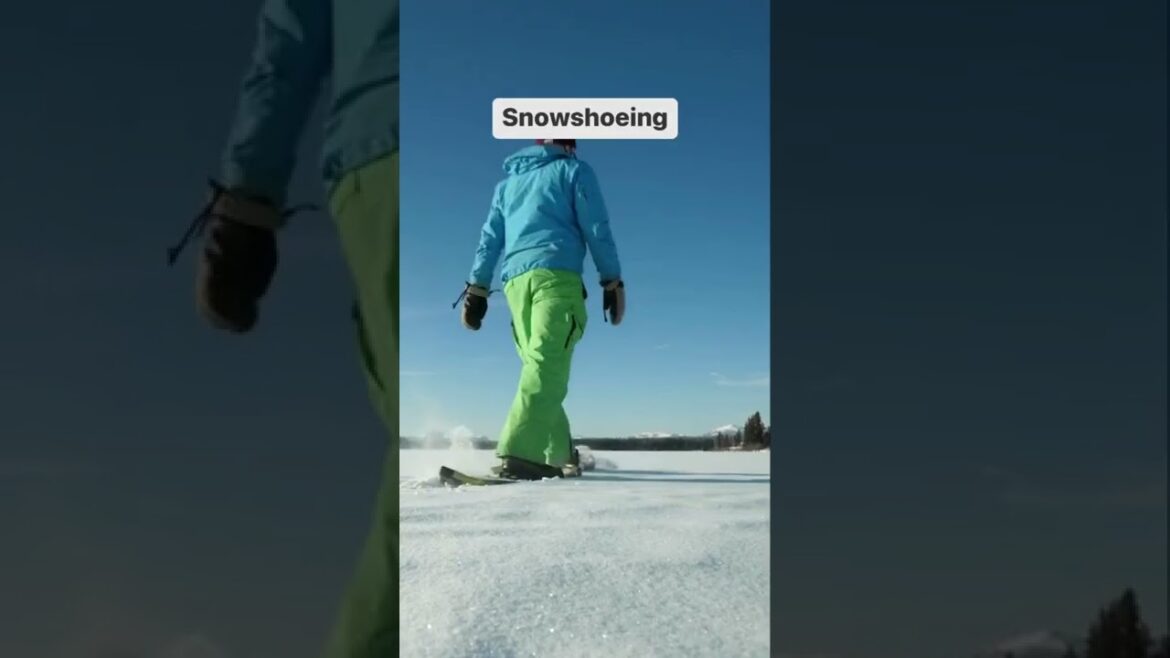 8 Winter Activities To Try #winteriscoming  #snowday #BC #explorebc #shorts #snowfall #vacation