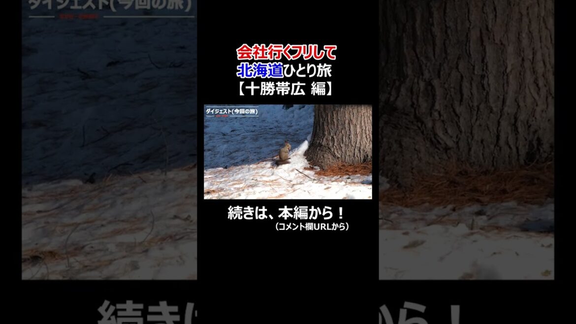 会社行くフリして十勝 帯広ひとり旅(1泊2日)【北海道旅行/グルメ】