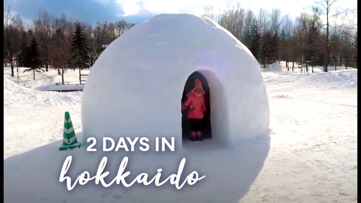 2 Days in Hokkaido, Japan | Travel Vlog with Canon G7x Mark ii