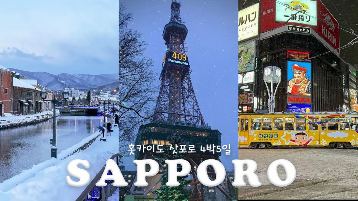 크리스마스의 삿포로🎄ㅣ현지맛집부터 명소까지ㅣ오타루, 오르골당, 조잔케이, 온천료칸, 징키스칸, 스프카레, 이자카야ㅣ4K 홋카이도vlog ㅣ일본여행브이로그 크리스마스의 삿포로🎄ㅣ현지맛집부터 명소까지ㅣ오타루, 오르골당, 조잔케이, 온천료칸, 징키스칸, 스프카레, 이자카야ㅣ4K 홋카이도vlog ㅣ일본여행브이로그