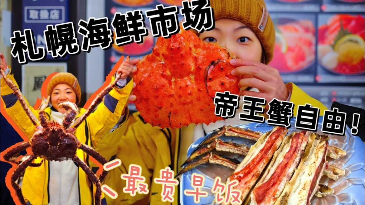 北海道札幌7️⃣万元日币实现帝王蟹自由⁉️日本旅游最硬核早餐❄️Hokkaido Niseko seafood travel vlog ~ how to ace a 3.5 kg crab