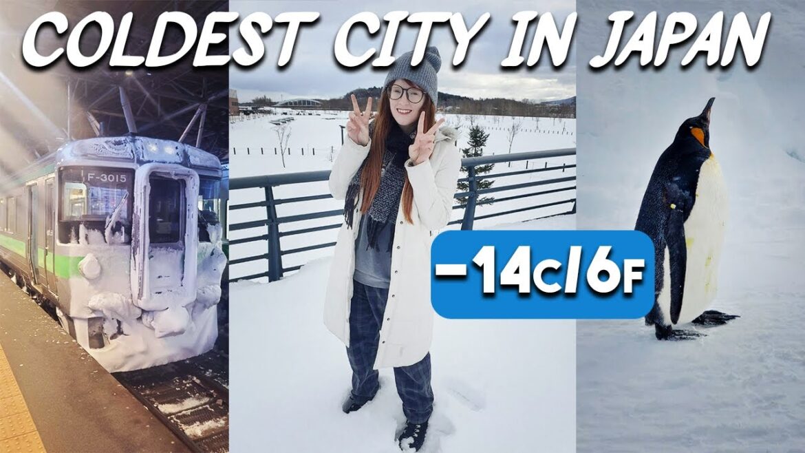 A Day in Japan's Coldest & Snowiest City