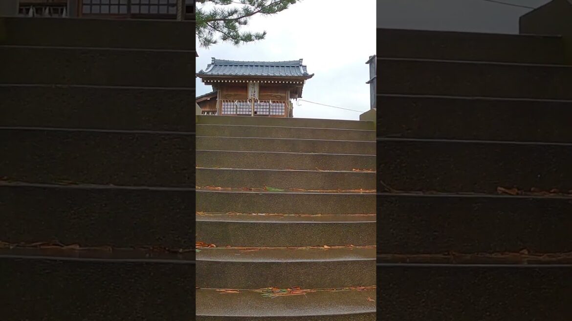Cool Hilltop Shrine! Walk to the top #japan #shorts #walking Cool Hilltop Shrine! Walk to the top #japan #shorts #walking