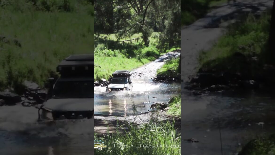 14 Crossings - Mills - Water Over The Bonnet! - Will He Drown The Prado? #shorts #4wheelsontheroad