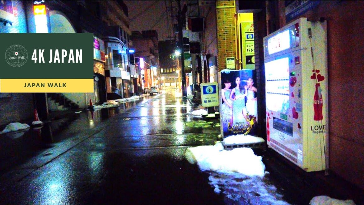 【4K HDR】Night Walk in NIIGATA Red Light District - Nagaoka tonomachi(殿町散歩) - Japan Walking Tour