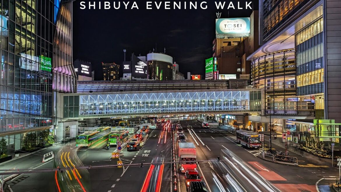 A Cold and Miserable Evening Walk through Shibuya