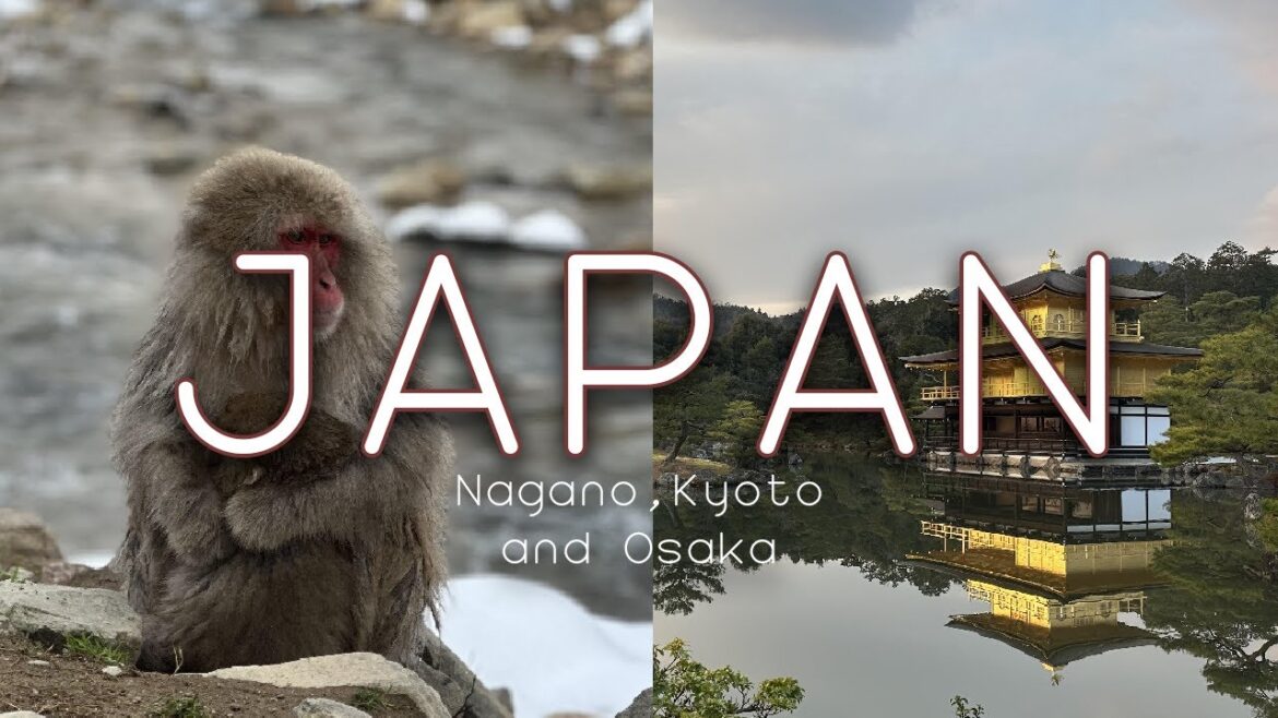 Snow Monkeys, Kyoto Temples & Osaka! - Japan Vlog