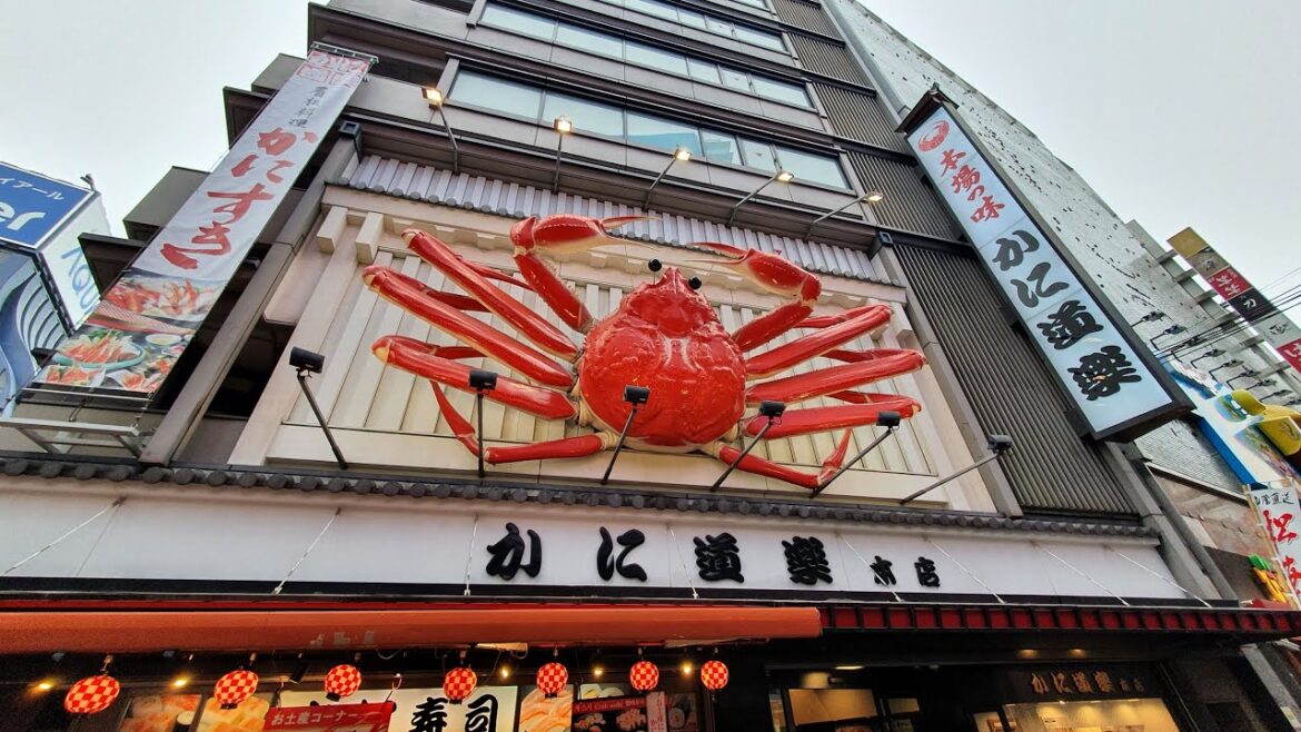 Osaka 4/4: Dotonbori, Umeda Sky Building, VR Zone Osaka, Chanko Sumo Stew | Japan 29/45 |