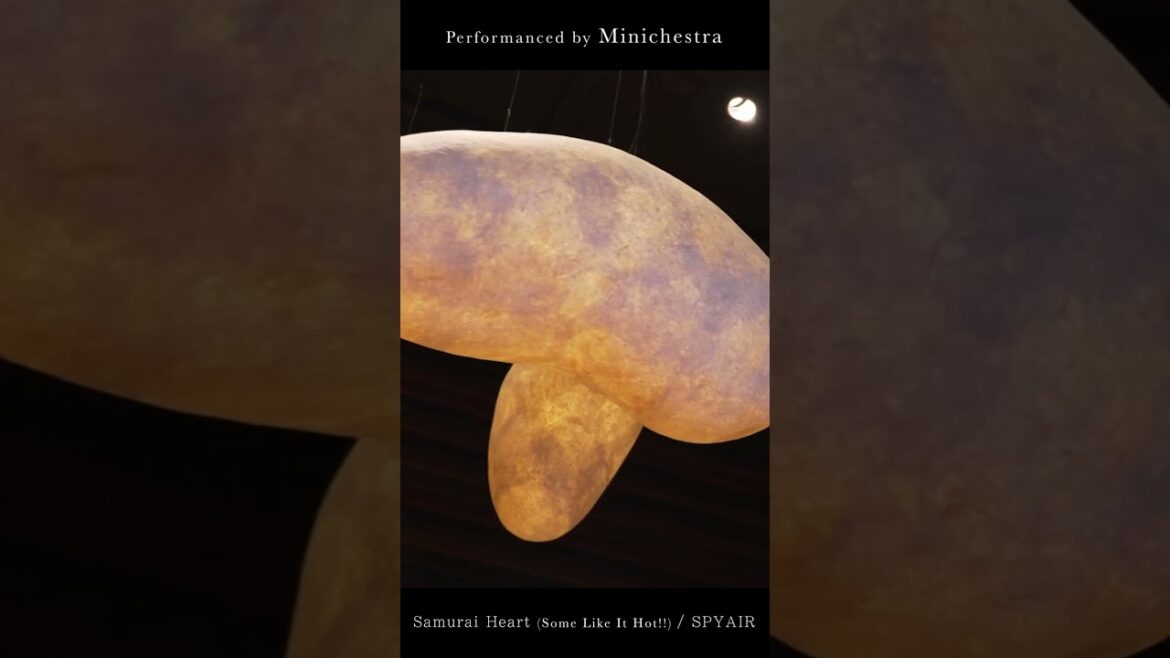 NISEKO's winter doesn't let you down! 〜 Samurai Heart (Some Like It Hot!!) by Minichestra #shorts NISEKO's winter doesn't let you down! 〜 Samurai Heart (Some Like It Hot!!) by Minichestra #shorts