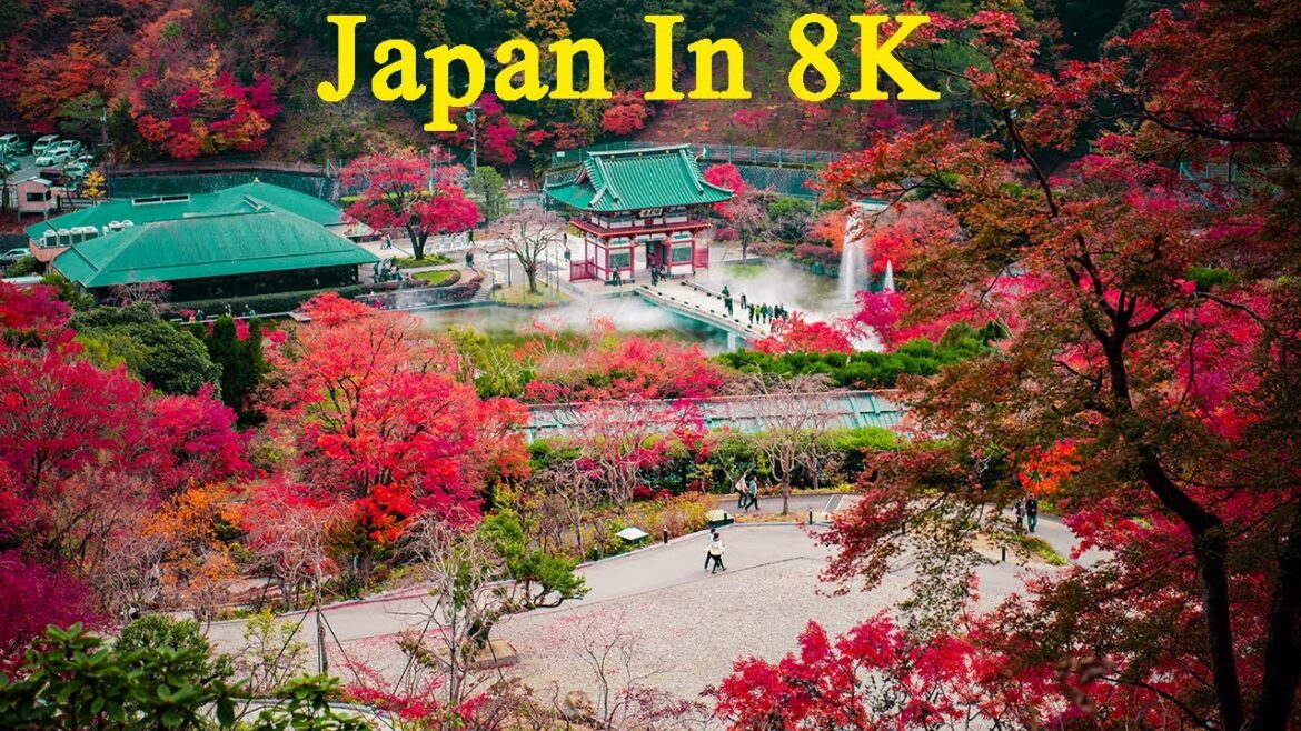 Beauty of Japan | Japan in 8K | Top Places to Visit in Japan | Relaxing Music with Nature