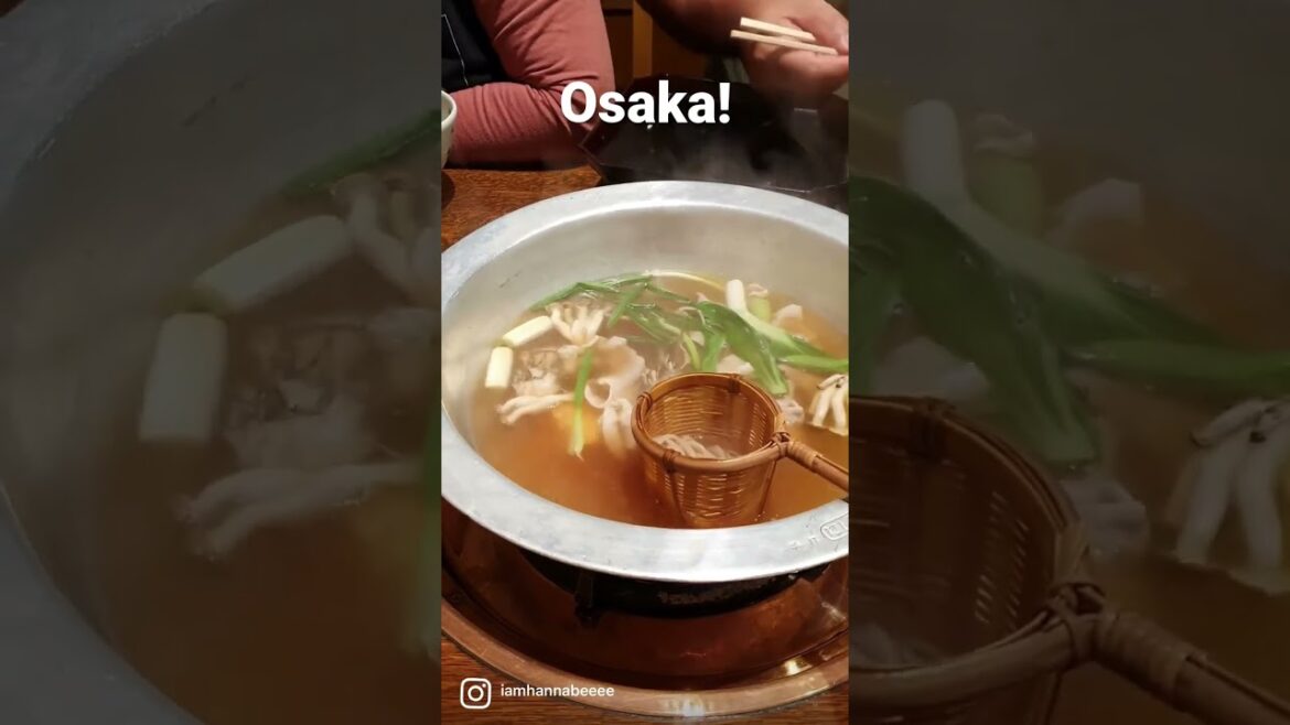 Osaka Foodtrip! #Japan #Osaka #Travel #Travelling #japanese  #Japan #japanesefood #japantravel