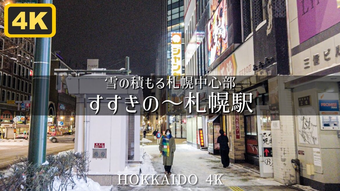 【4K 札幌散策】すすきの駅〜札幌駅 Hokkaido Sapporo Night Walk 【4K 札幌散策】すすきの駅〜札幌駅 Hokkaido Sapporo Night Walk