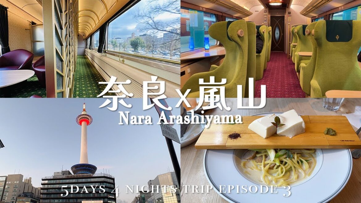【日本關西五天四夜ep.3】奈良遇見小鹿夫妻|近鐵觀光特急列車『美麗奈良Aoniyoshi』 |嵯峨錢湯 豆腐九条蔥義大利麵|嵐山美味街頭小吃|Japan Vlog |奈良嵐山自由行 【日本關西五天四夜ep.3】奈良遇見小鹿夫妻|近鐵觀光特急列車『美麗奈良Aoniyoshi』 |嵯峨錢湯 豆腐九条蔥義大利麵|嵐山美味街頭小吃|Japan Vlog |奈良嵐山自由行