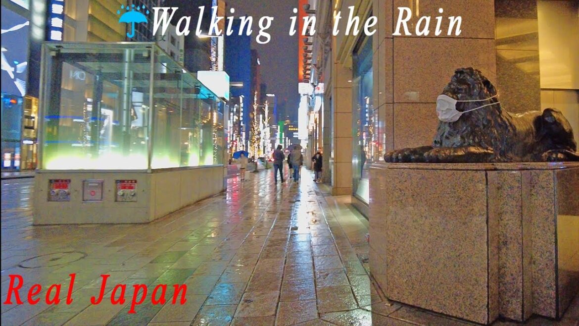 Walking in the rain on Harumi-dori Ave., Tokyo, Japan – ASMR 4K Walking in the rain on Harumi-dori Ave., Tokyo, Japan - ASMR 4K