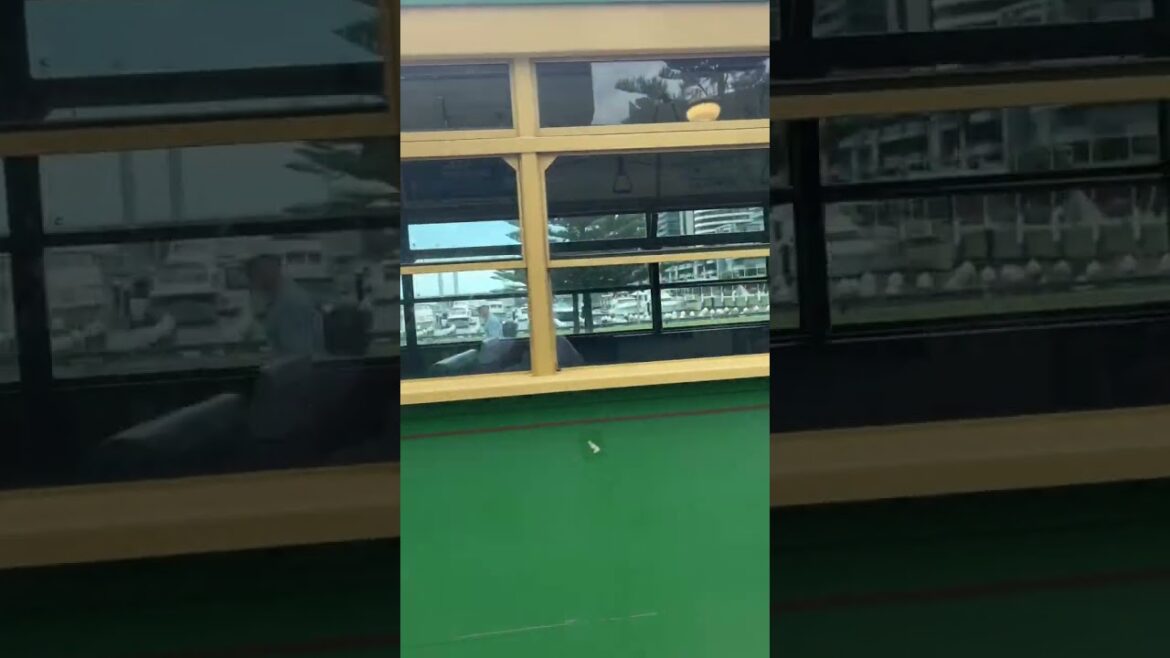 This classic old tram in Melbourne takes you on a full loop of the city and it’s free!! #shorts This classic old tram in Melbourne takes you on a full loop of the city and it’s free!! #shorts