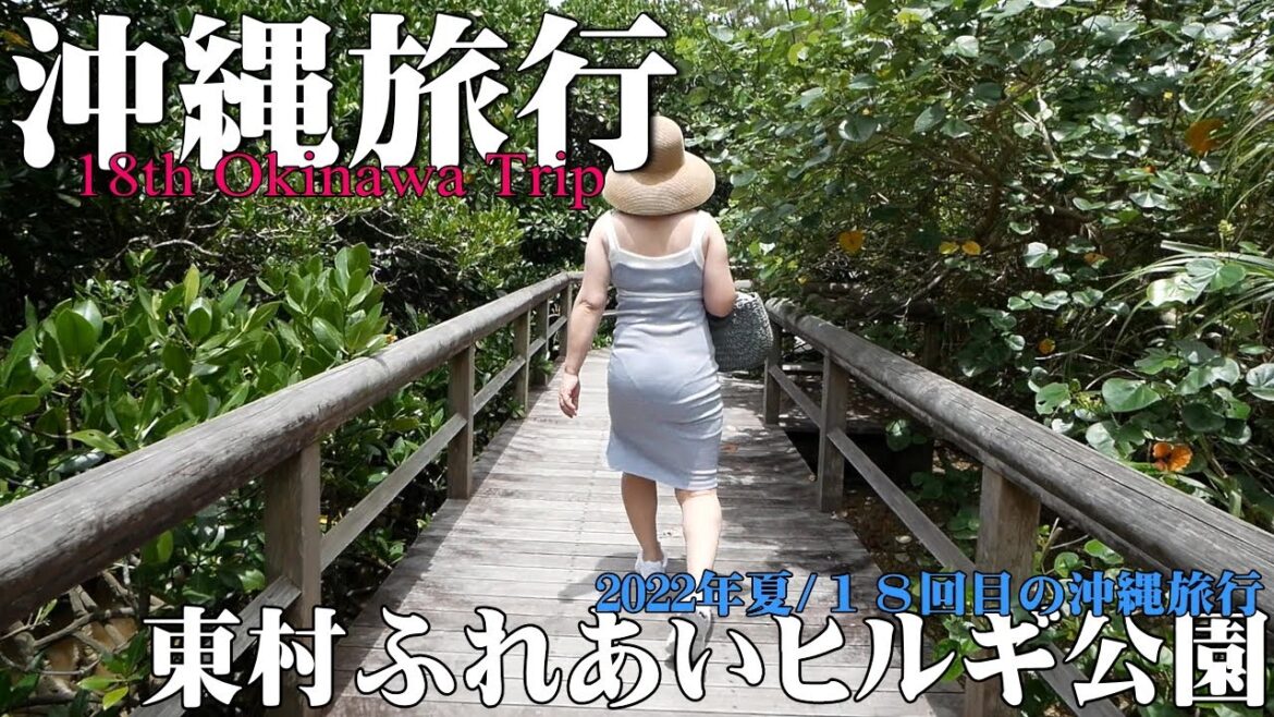 【沖縄旅行】2022年７月編/１８回目の沖縄旅行/東村ふれあいヒルギ公園/前編【Vlog10】