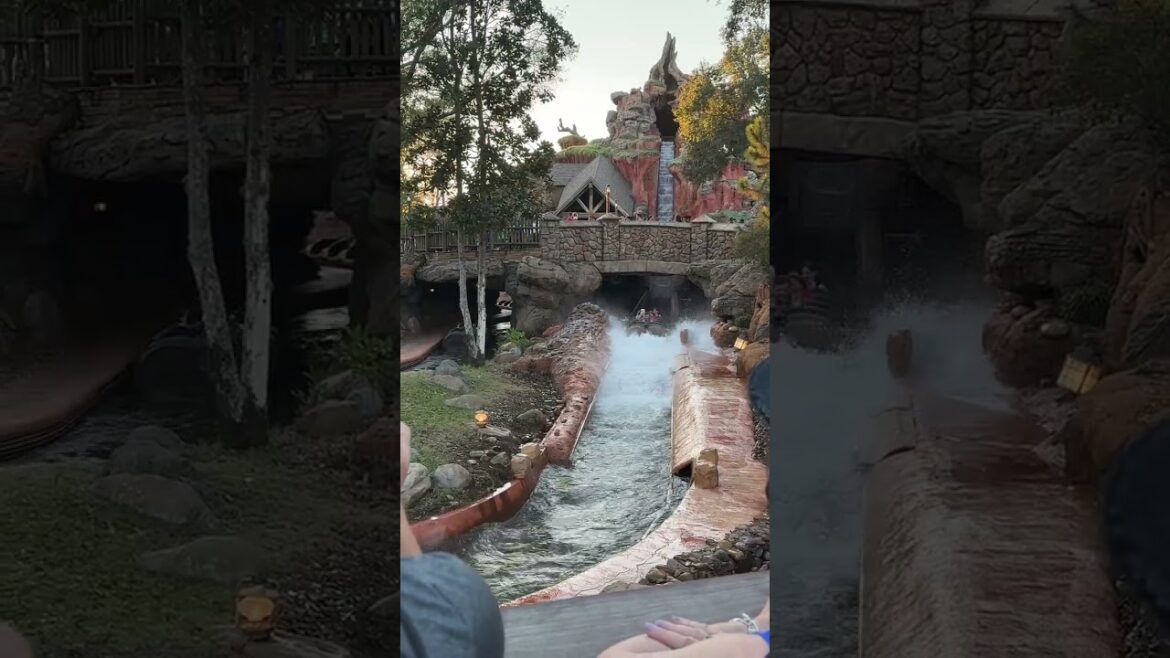 SPLASH MOUNTAIN DROP 🤯 #shorts #splashmountain #disneyworld #rollercoaster #waterfall  #vacation
