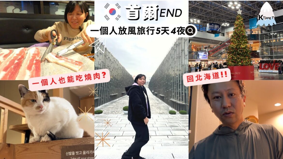 一個人也可以吃燒肉?!🥩🇰🇷韓國旅邊緣最高點‧首爾自助旅最終章!新村貓咪咖啡店‧梨大‧回北海道‧給日本老公的驚喜Seoul Travel Vlog‧EP3 一個人也可以吃燒肉?!🥩🇰🇷韓國旅邊緣最高點‧首爾自助旅最終章!新村貓咪咖啡店‧梨大‧回北海道‧給日本老公的驚喜Seoul Travel Vlog‧EP3