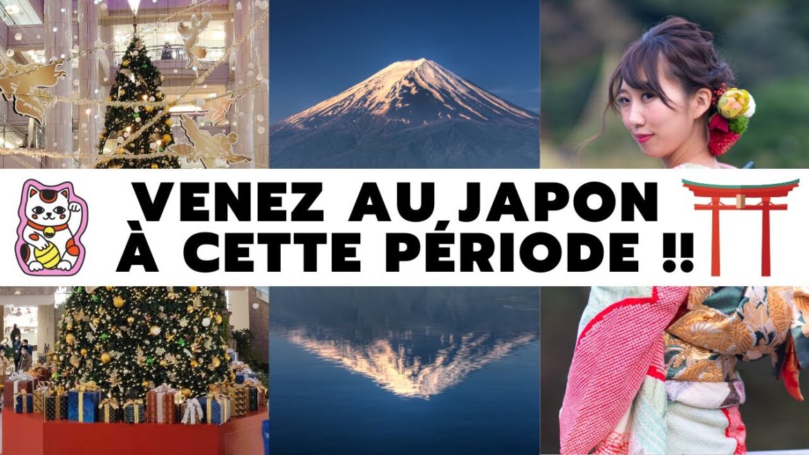 La meilleure période pour voyager au Japon ? Fin décembre-début janvier ! Je vous dis pourquoi ! 🇯🇵
