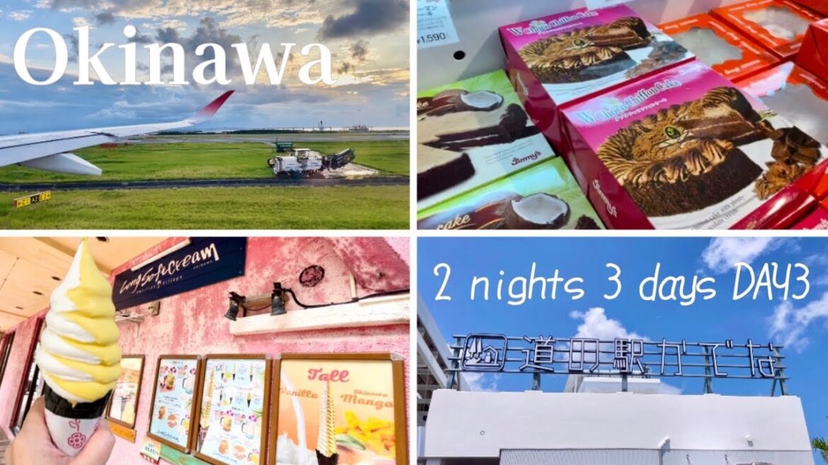 【沖縄旅行】気ままに行く2泊3日 3日目 リピーター向け*旅行 【沖縄旅行】気ままに行く2泊3日 3日目 リピーター向け*旅行