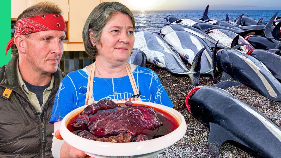 Hunting and Eating Whale!! Europe’s Most Controversial Food!! Hunting and Eating Whale!! Europe’s Most Controversial Food!!