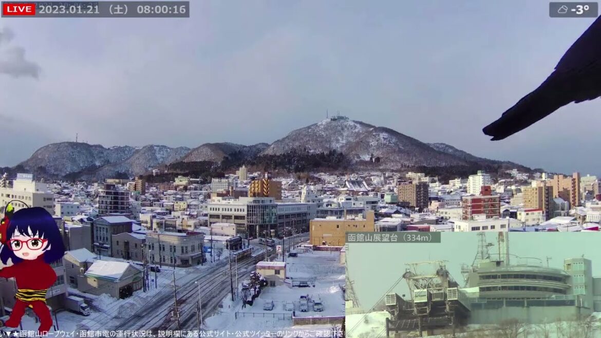 北海道 函館 カラス接近 2023/01/21