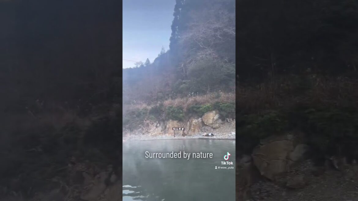 Natural Hot Spring River in Kawayu-onsen, Wakayama 天然の川温泉 川湯温泉 和歌山県 #senninburo #仙人風呂 #traveljapan